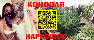 индика Северобайкальск