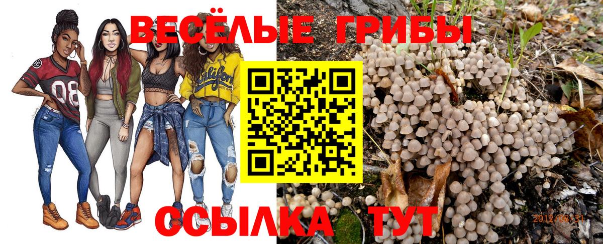 Галлюциногенные грибы Psilocybine cubensis  Вход с VPN  Петрозаводск 